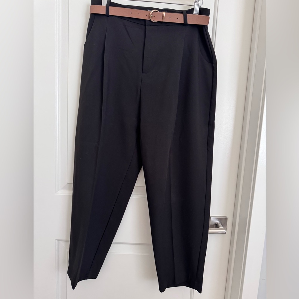 Zara Pleated Pants with Belt